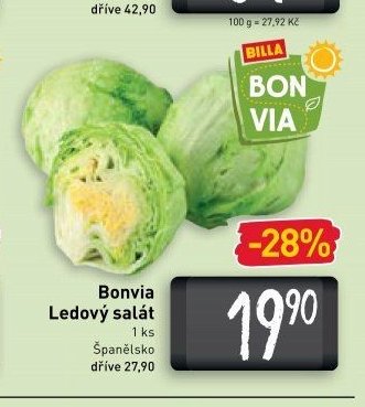 Bonvia Ledový salát