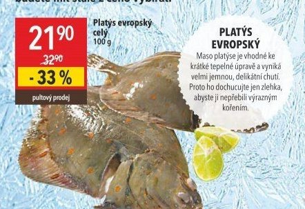 Platýs evropský celý