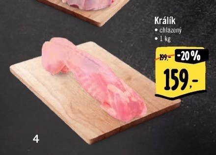 Králík