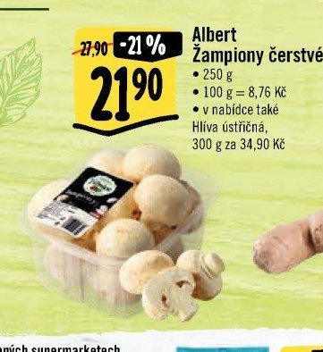 Albert Žampiony čerstvé