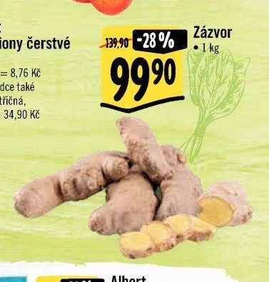 Zázvor