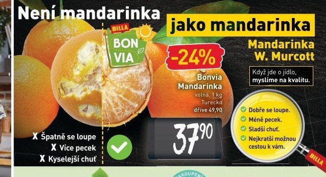 Bonvia Mandarinka W. Murcott