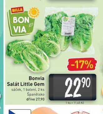 Bonvia Salát Little Gem