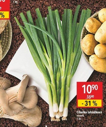 Cibulka lahůdková