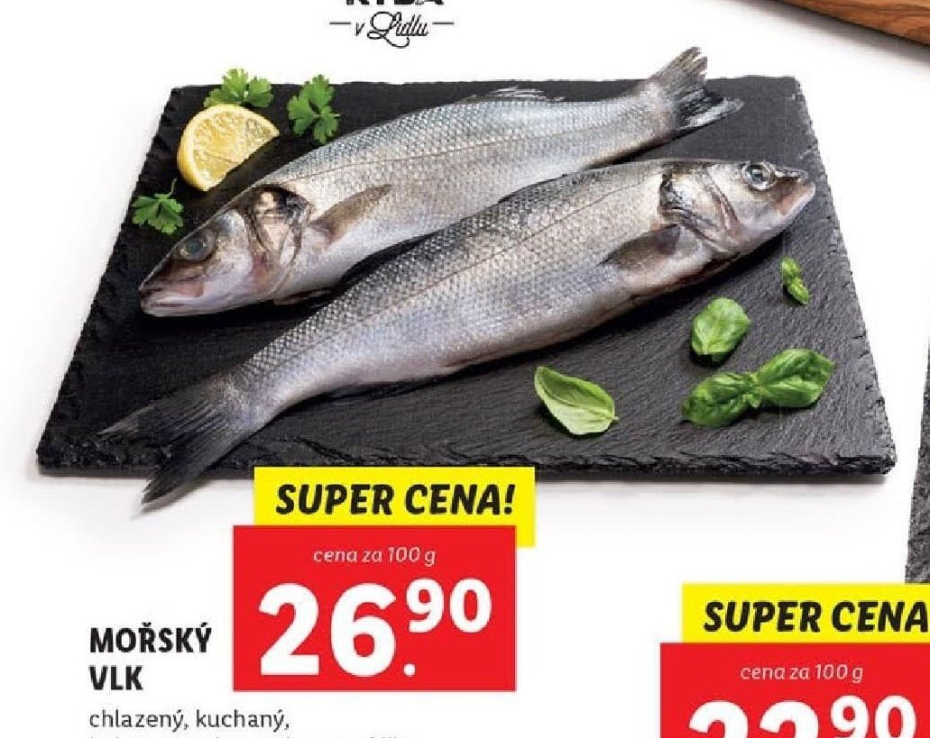 Mořský vlk