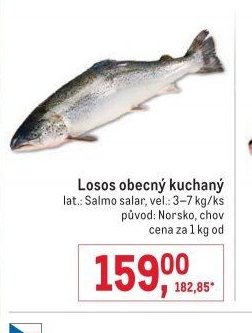 Losos obecný kuchaný