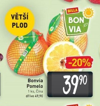 Bonvia Pomelo