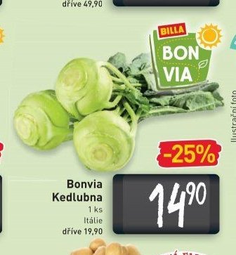 Bonvia Kedlubna