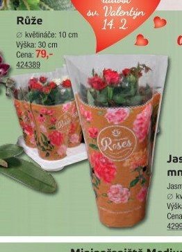 Růže - UNI HOBBY akcniletaky.com