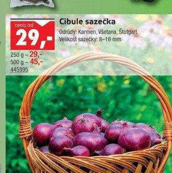 Cibule sazečka - UNI HOBBY akcniletaky.com