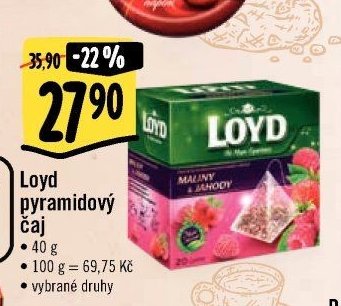Loyd pyramidový čaj