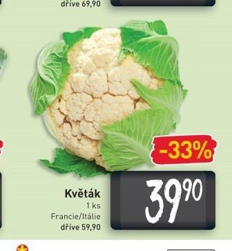 Květák