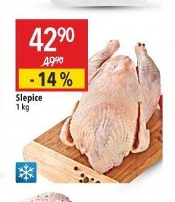 Slepice