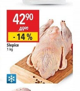 Slepice