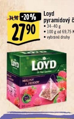 Loyd pyramidový čaj