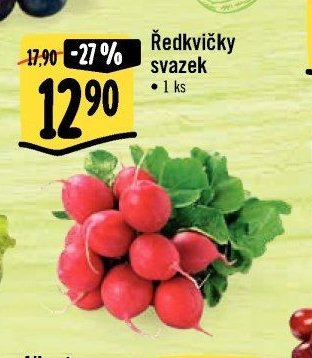 Ředkvičky svazek
