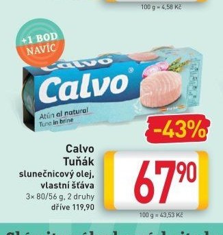 Calvo Tuňák