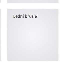 Lední brusle