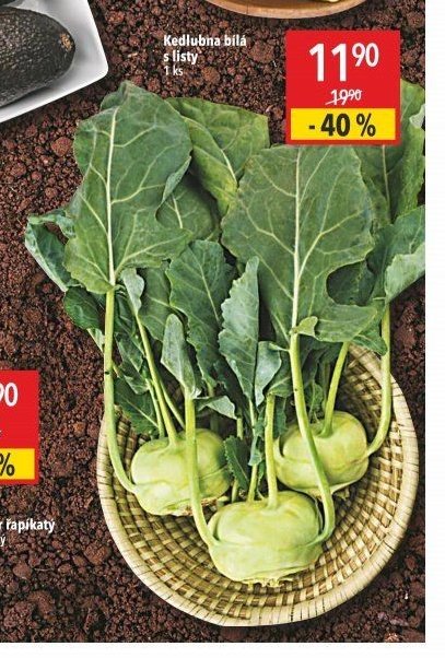 Kedlubna bílá s listy