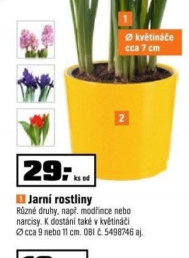 Jarní rostliny