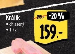 Králík