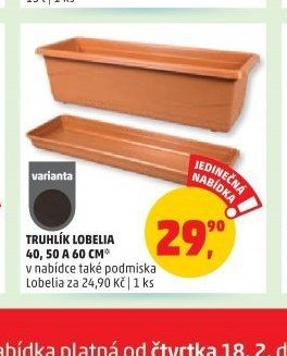 Truhlík Lobelia