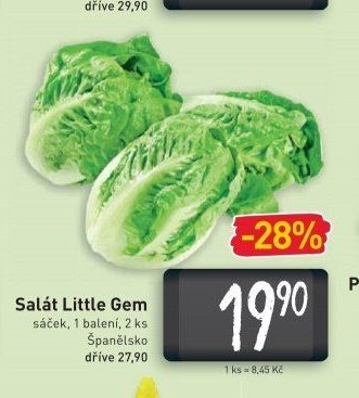 Salát Little Gem