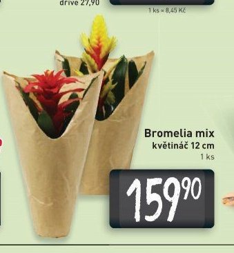 Bromelia mix