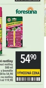 Tyčinky pro orchideje a bromélie 30 ks