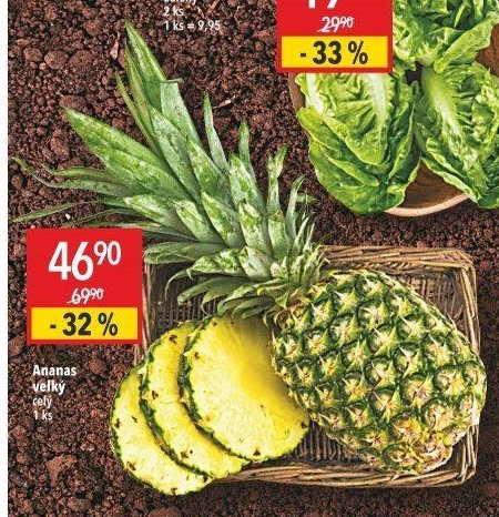 Ananas velký