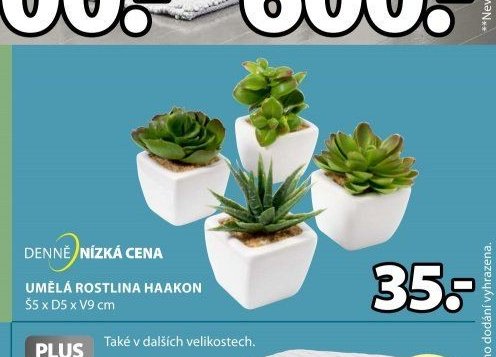 UMĚLÁ ROSTLINA HAAKON - Jysk akcniletaky.com