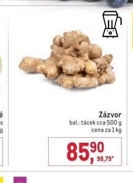 Zázvor