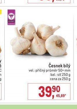 Česnek bílý