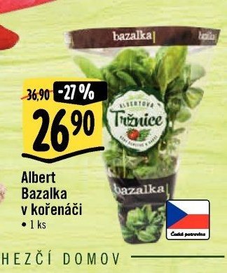 Albert Bazalka v kořenáči
