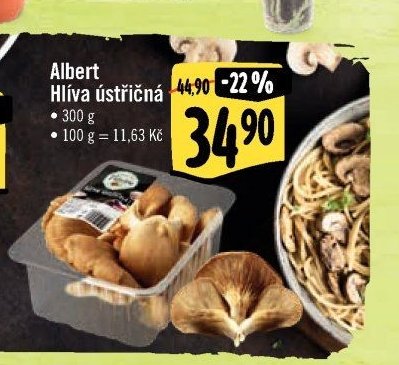 Albert Hlíva ústřičná