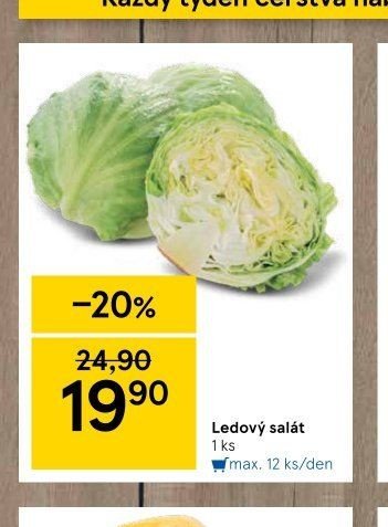 Ledový salát