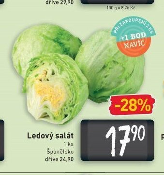 Ledový salát