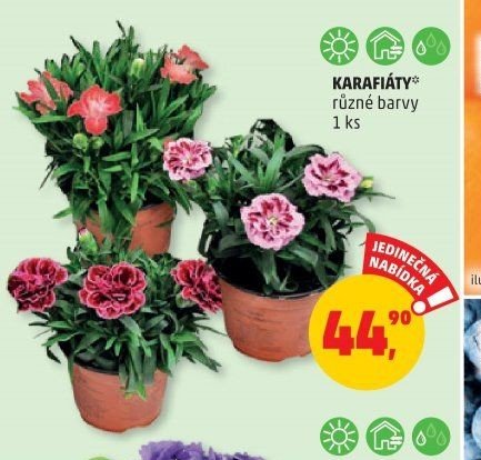 Karafiáty