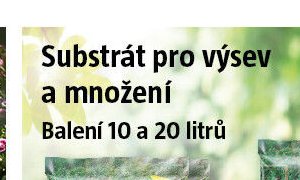 Substrát pro výsev a množení - BAUHAUS akcniletaky.com