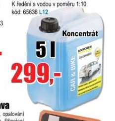 Autošampon Karcher 5 l
