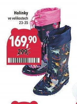 Holínky