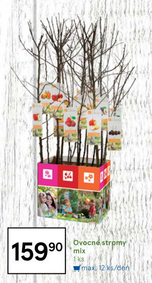 Sazenice ovocných stromků