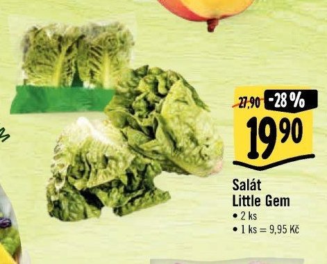 Salát Little Gem
