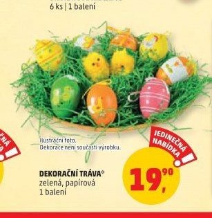 Dekorační tráva