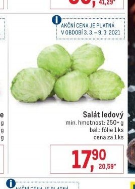 Salát ledový