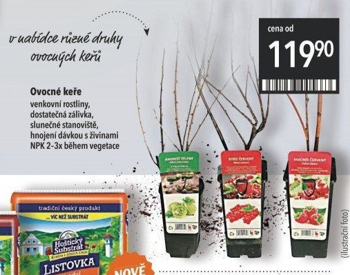 Ovocné keře