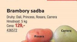 Brambory sadba - UNI HOBBY akcniletaky.com