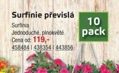 Surfínie převislá - UNI HOBBY akcniletaky.com