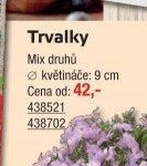 Trvalky - UNI HOBBY akcniletaky.com