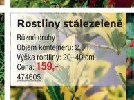 Rostliny stálezelené - UNI HOBBY akcniletaky.com